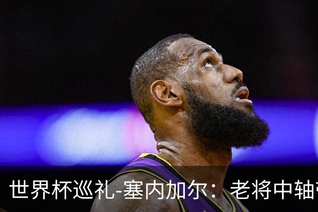 世界杯巡礼-塞内加尔：老将中轴带来安全感，非洲顶流前景可期！